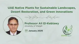 Using UAE Native Plants for Sustainable Landscapes, Desert Restoration, and Green Innovations