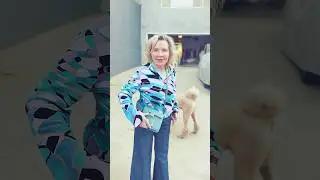 Пипонька , пошли гулять #usa 🇺🇸