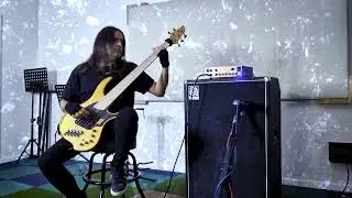 Eluveitie - The Call Of The Mountains (Bass Cover) // Dingwall NG3 5