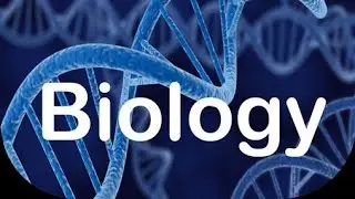 #biologystudy vigyankaobjecti email biology study by SK || branch of biology ||