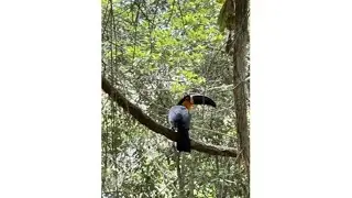 Brazil Rio Nature aspects fall 2025