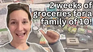 🛒 Two-Week LARGE FAMILY Grocery Haul | Feeding a Family of 11