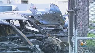 Several Cars Went Up In Flames In Miami Dealership Fire