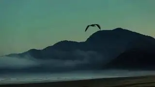 ONG Vida & Surf - vai al&eacute;m do mar!