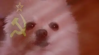 Gabe the Dog - Soviet Barks (C&C: Red Alert)