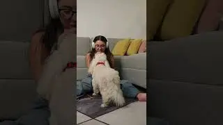 7 WEIRD Dog Facts You Won&rsquo;t Believe Are TRUE!