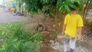 seed hunting
