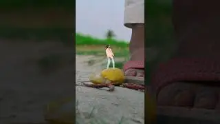 Shasta baba😱😂-#funnyvideo #funny #shorts
