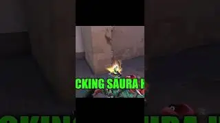 Am I @Saura XD