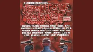 Big Bad Norte