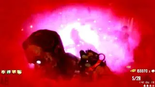 Black Ops 2 zombies die Rise no-box flawless 50 bar run