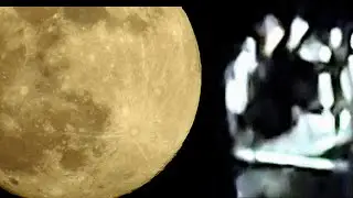 THE TREE CREATURE, LUNAR ENTITY & DIELECTRIC LENS PULSES  (4.15.2022 Footage)