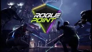 Обзор Rogue Point