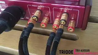 Triode  300B -  A class single ended integrated amplifier