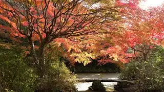不退寺から水上池