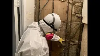 What is mold remediation- D.C metro restoration company