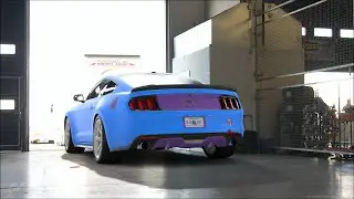 Gran Turismo® 7 25th PS4 Pro, Passenger 😅 - Mustang GT 5.0 (WB) '15 Scotia 🐯