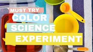 Water Sensory Bin for Toddlers and Preschoolers | Easy Play Ideas at Home