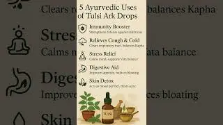 🌿 5 Ayurvedic Uses of Tulsi Ark Drops  #ayurveda #india #hanuman #krishna #tulsi