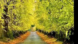 Autumn 3