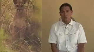 GreaterGood.org Signature Program: Madrean Archipelago Biodiversity Assessment (MABA)
