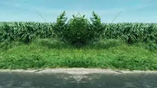 Tyler Ramsey & Carl Broemel - &ldquo;Elizabeth Brown&rdquo; (Official Visualizer)