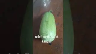Vegetable names #vegetables #sabji #learning