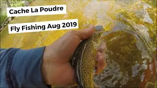 Cache La Poudre River - Big South Trail - Fly Fishing August 2019