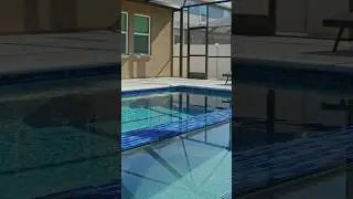 Which Pool Shape Is the Easiest to Maintain?