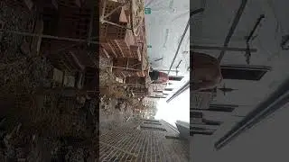 bricklaying in Melbourne ( truganina)