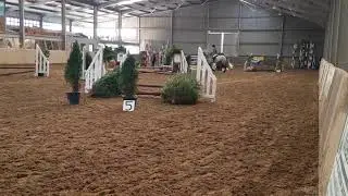 Kinnard bill rising 4yo