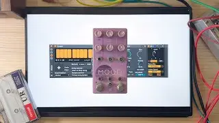 how to MOOD in ableton