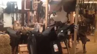 Conny's Pferdezubehör Herzlich willkommen in meinem kleinen Reich in Prinzhöfte