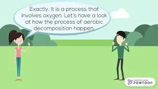 Aerobic Decomposition process