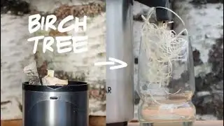 Birch Water Drinks - &Ouml;selBirch