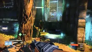 DESTINY: Skirmisk on Asylum 31/5