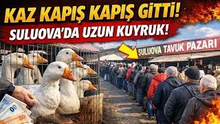 Tavuk Pazarında Kaptıran Kaptırana! Fiyatlar Her Gün Artıyor!Durdu Durdu Turnayı Gözünden Vurdu💯