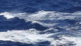 Ocean Symphony