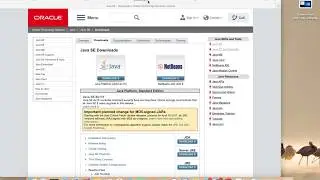 How to install Java JDK 8 9 with JAVA_HOME on macOS Mac OS X
