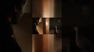 WHY DID THE PIGEON STOP?!?!?! #funny #gaming #memes #fyp