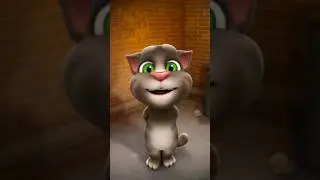 babuji 😭🎂👇🤪🎂😇🙄👇#shortvideo #illusionaryworld #viralvideo #2024
