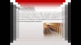 Exit Point Location Using Hilti PX10 QLD | 0426 508 755