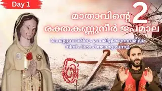 9 ദിവസത്തെ മാതാവിന്റെ രക്തകണ്ണുനീർ ജപമാല / Day 1/ Fr. Jacob Mookkilikattu OCD 