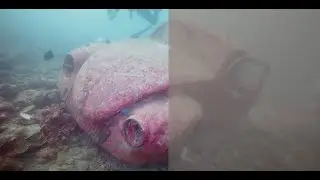 Sony A7SIII underwater video grading test SLOG3 with Keldan lights, red filter - Anilao, Philippines