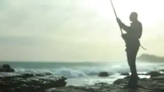 Oilguard - Beach Protection