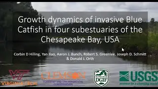 Corbin Hilling- Growth dynamics of invasive Blue Catfish in four subestuaries of the Chesapeake Bay