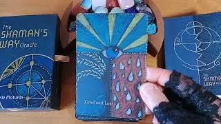 ✨The Shaman's Way Oracle ~ Flip-Through & Timeless One-Card Reading✨