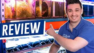 Review unserer 40 Aquarien-Garnelenzuchtanlage | Was wir jetzt besser machen würden!