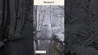 ❄️ snow in trees #shortsvideo #smallyoutuber #shortyoutube #smallvideo #shorts #short