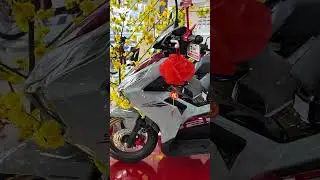 Sports Honda 2025 | Honda Scooter Airblade 125cc #honda2025 #hondascooter #airblade2025 #newhonda